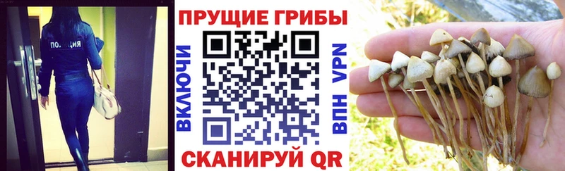 Галлюциногенные грибы мухоморы  Сосновоборск 