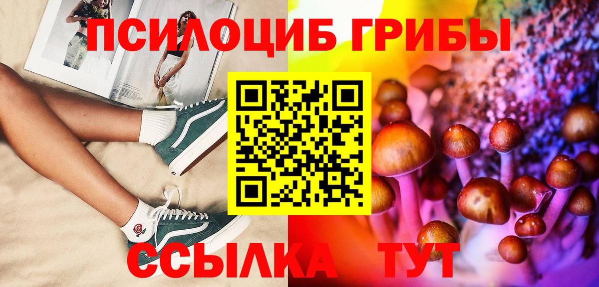 Галлюциногенные грибы Cubensis  Вход с VPN  Сосновоборск  Галлюциногенные грибы GOLDEN TEACHER 