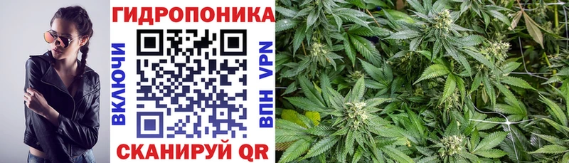 сколько стоит  Сосновоборск  Бошки марихуана Ganja 